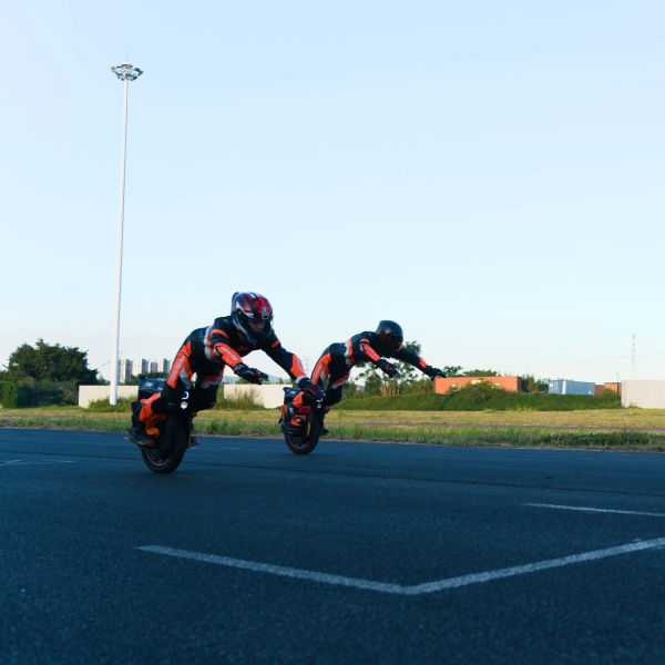 Inmotion P6