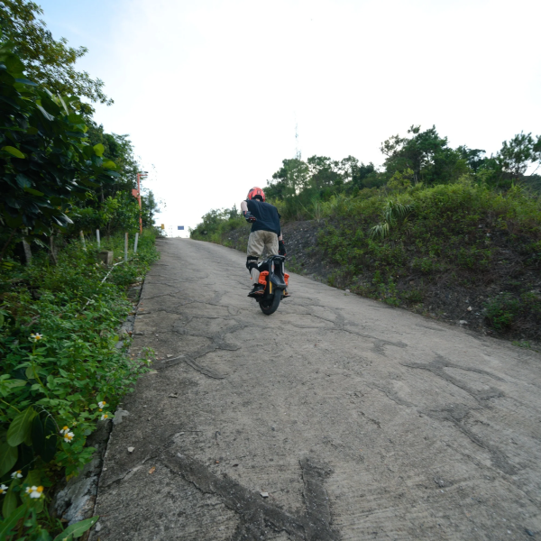 Inmotion P6