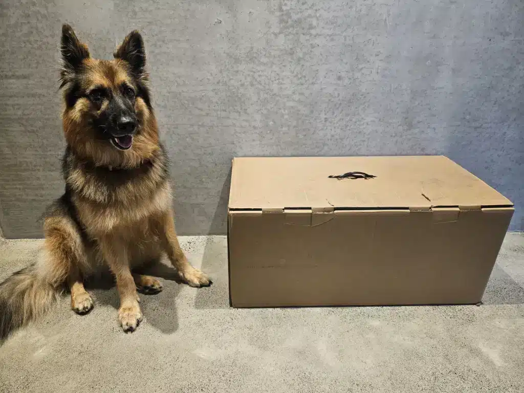 Fungineers Quick Start X7 Security Check