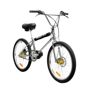 Evolve Project BMX Chrome